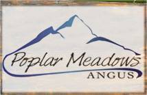 Poplar Meadows :: Registered Black Angus